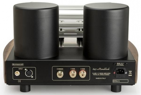 Mastersound 845 Monoblock