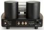 Mastersound 845 Monoblock