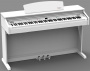 Artesia DP-10e