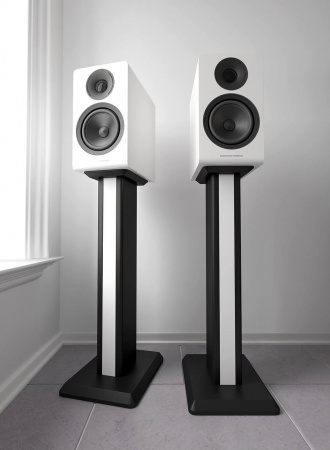 Acoustic Energy AE300