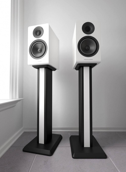 Acoustic Energy AE300