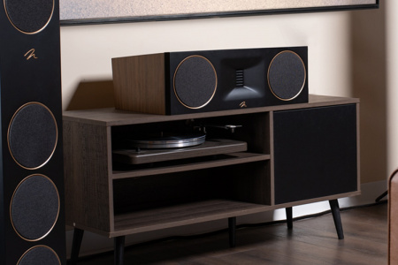 Martin Logan Motion XT C100