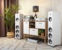 Martin Logan Motion Foundation F2