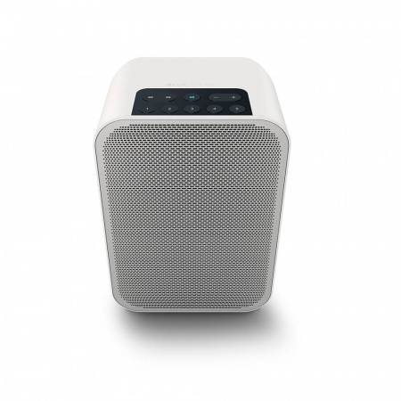 Bluesound PULSE FLEX 2i