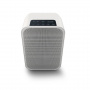 Bluesound PULSE FLEX 2i