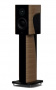 Morel Avyra 622