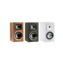 Martin Logan Motion Foundation B1