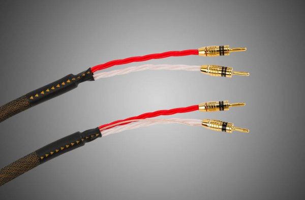 Tchernov Cable Reference DSC SC Bn/Bn 5 m