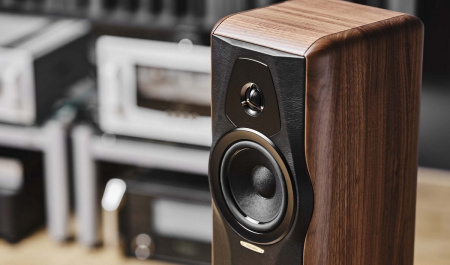 Sonus Faber Maxima Amator