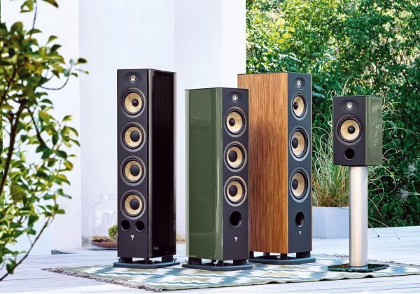 Focal Aria Evo X Center
