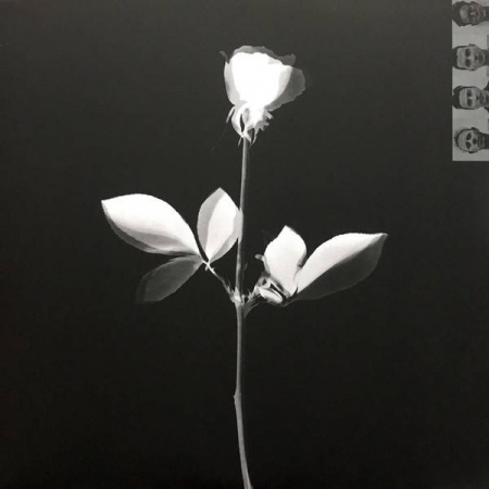 Depeche Mode ‎- Violator (180 Gr)