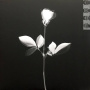 Depeche Mode ‎- Violator (180 Gr)