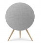 Bang & Olufsen Beosound A9 5th Generation Natural Aluminium