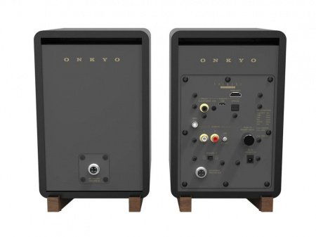 Onkyo GX-30ARC активная беспроводная акустика
