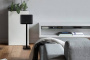 Denon Home 250