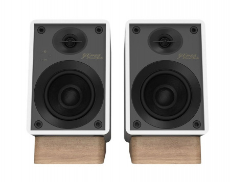 Onkyo GX-10DB активная беспроводная акустика