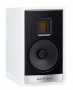 Martin Logan Motion 15i