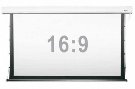 Экран 120" Digis DSTP-16905