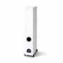 Paradigm Monitor SE 6000F