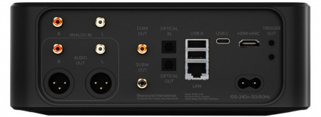BlueSound Node Icon N530