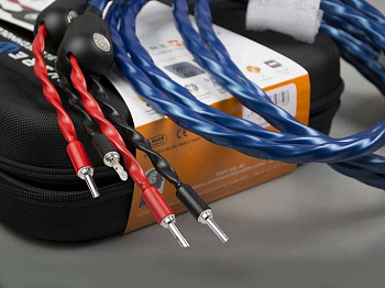 Wireworld Oasis 8 Speaker Cable 3.0m
