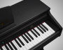 Artesia DP-10e