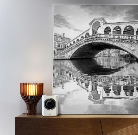 Активная полочная акустика Cabasse Rialto