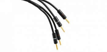 Atlas Hyper 2.0 3.0m [BANANA-BANANA]