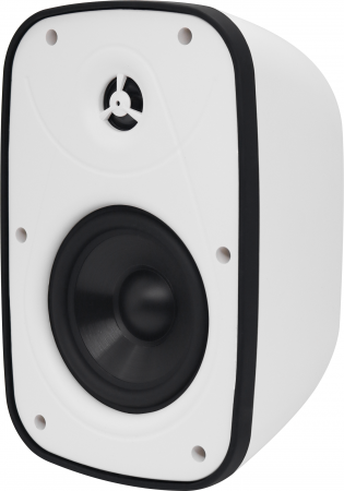 Всепогодная трансляционная акустика SVS Audiotechnik PAF-6W PRO