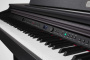 Artesia DP-10e