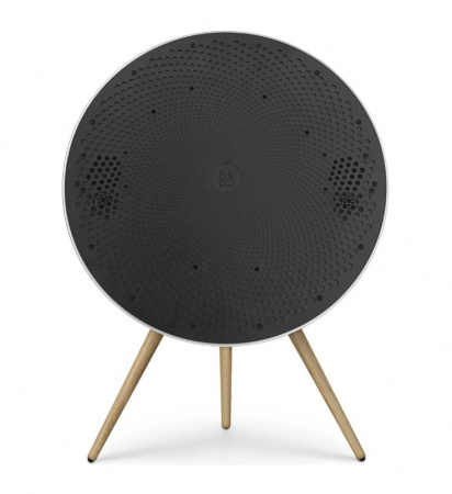 Bang & Olufsen Beosound A9 5th Generation Natural Aluminium