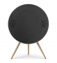 Bang & Olufsen Beosound A9 5th Generation Natural Aluminium