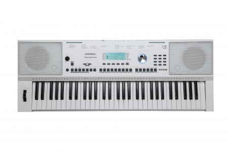 Kurzweil KP110